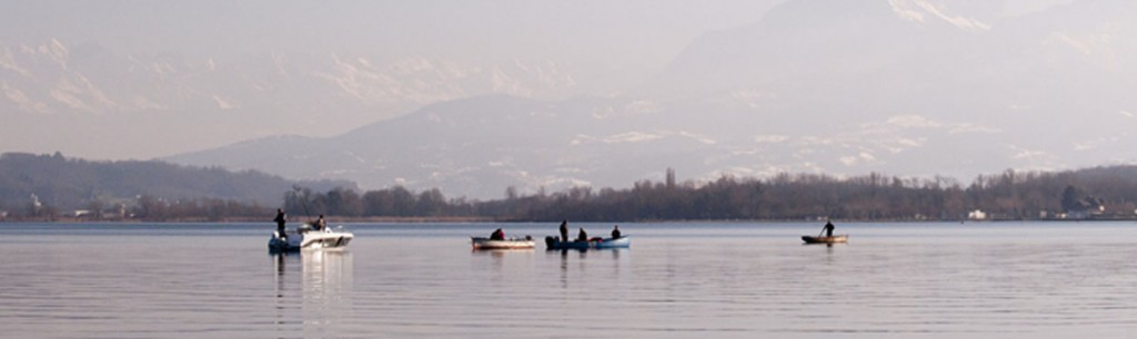 Ouverture de la pêche du lavaret le 30 janvier 2016 au lac du Bourget !