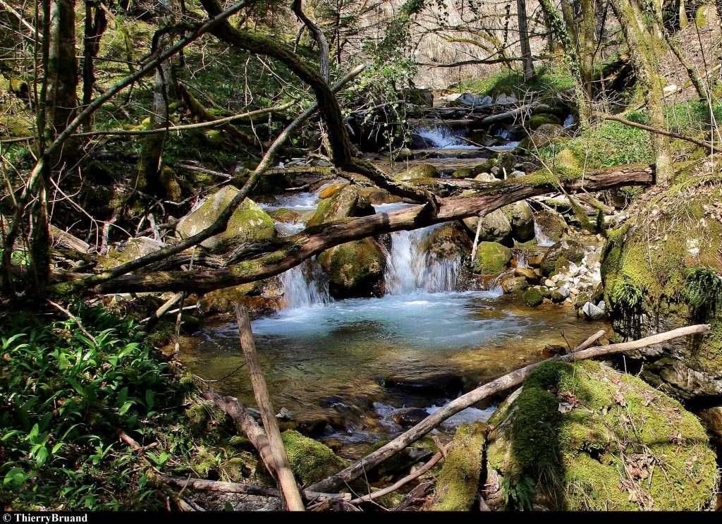 Le parcours de pêche du ruisseau de Fougère