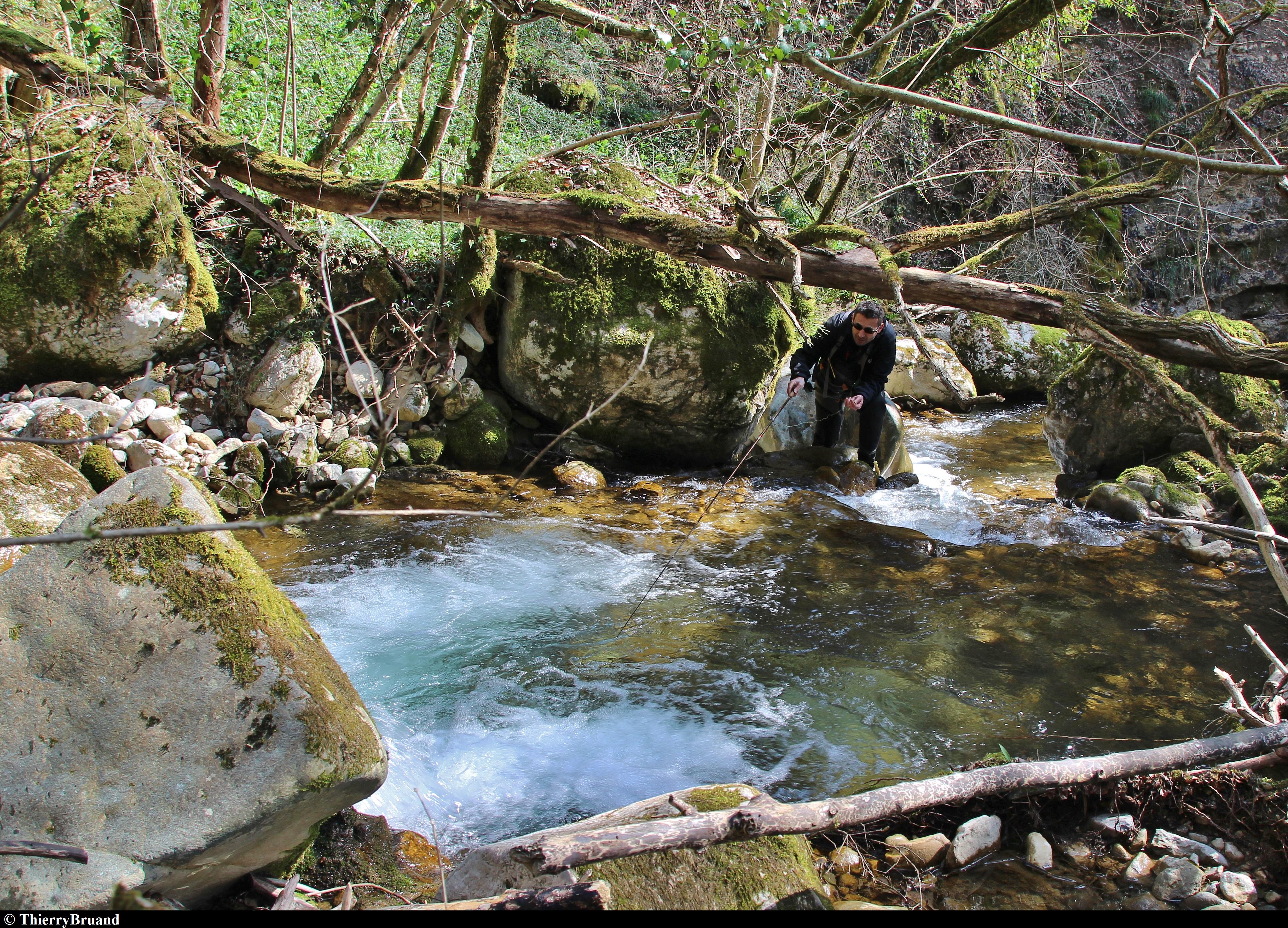 Le parcours du ruisseau de la Fougère et ses encombrements exige une bonne maîtrise technique