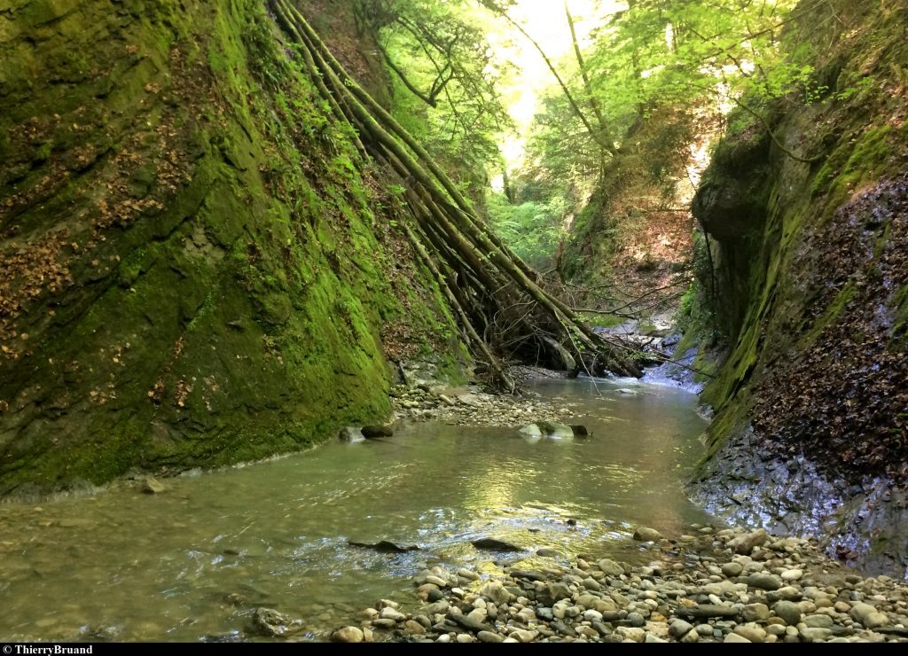 Le parcours de pêche du Forézan