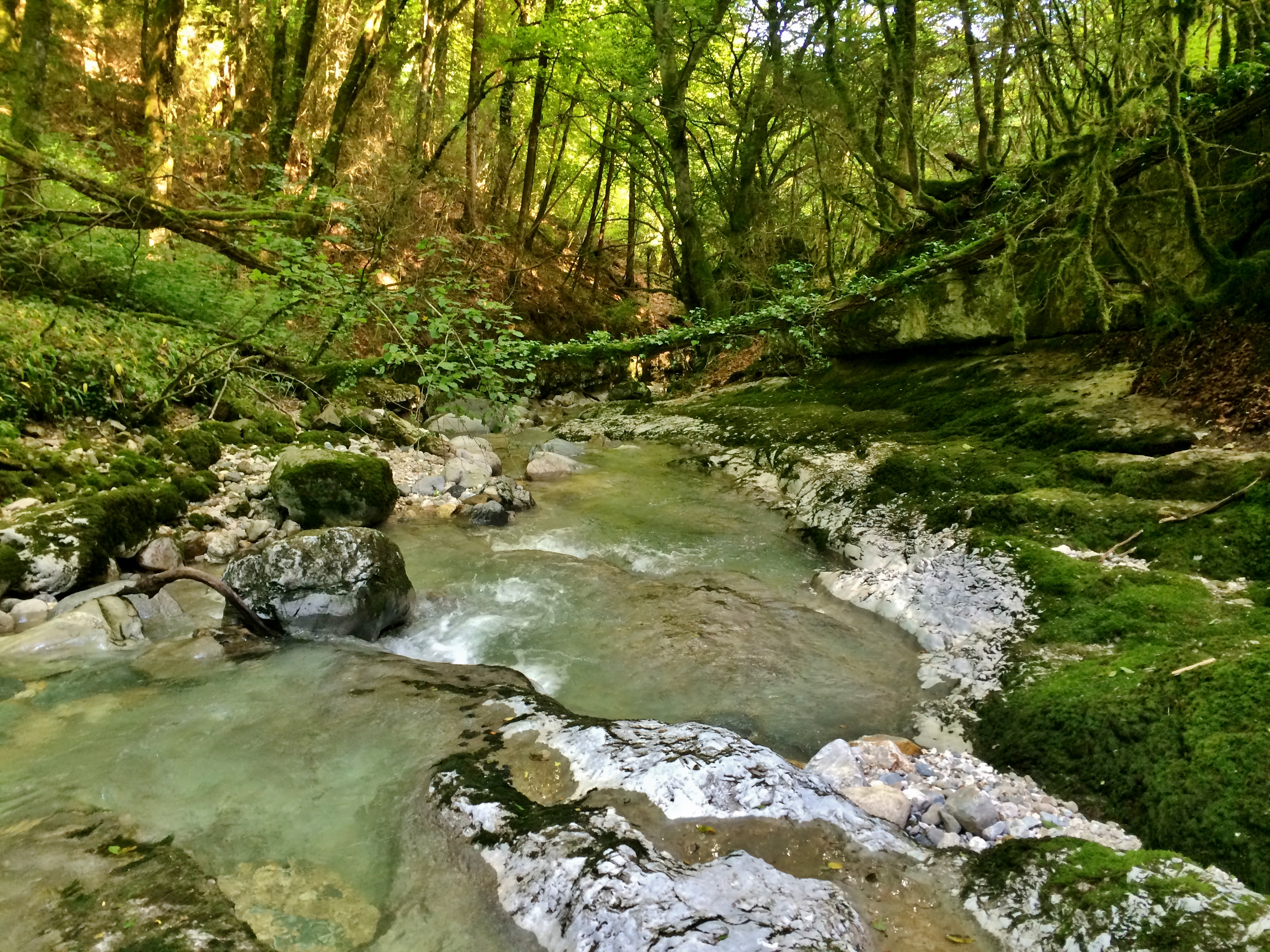 Le parcours de la Doria en aval de la grande cascade (tronçon aval) 