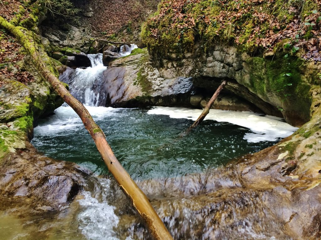 Le parcours de pêche du ruisseau de Ternèze