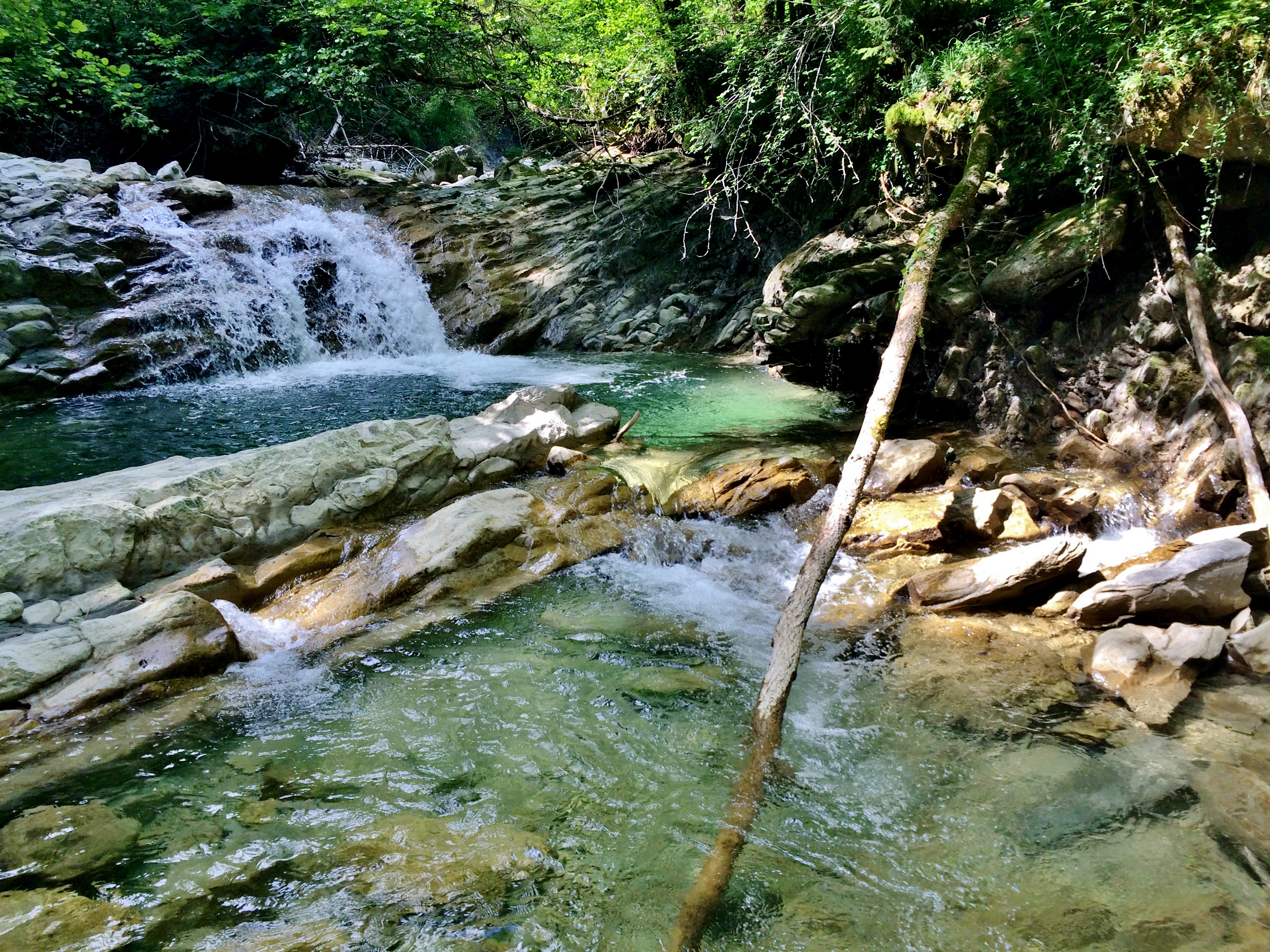 La Leysse un peu en amont de la confluence avec le ruisseau du Pontet au niveau de la commune de Thoiry