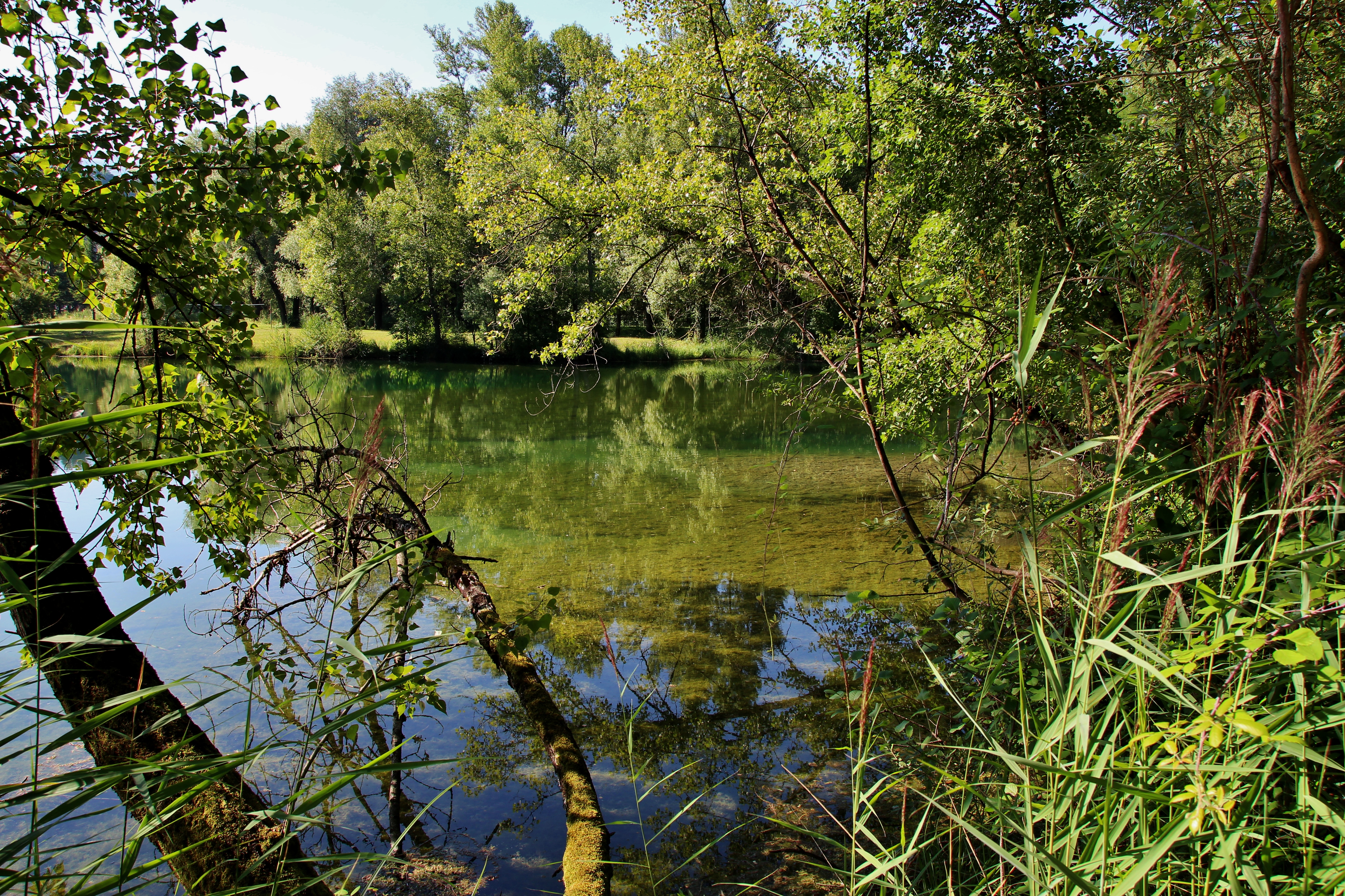  Le petit lac de Carouge est réservé uniquement à la pêche 