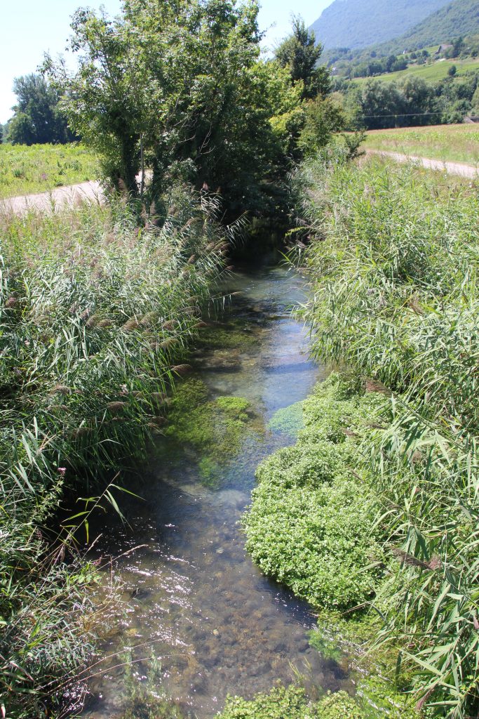 Le parcours de pêche du Gargot (RD4)