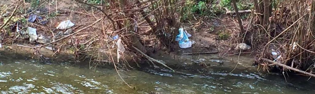 Les Pêcheurs Chambériens et Chambéry métropole nettoient les cours d’eau en septembre !