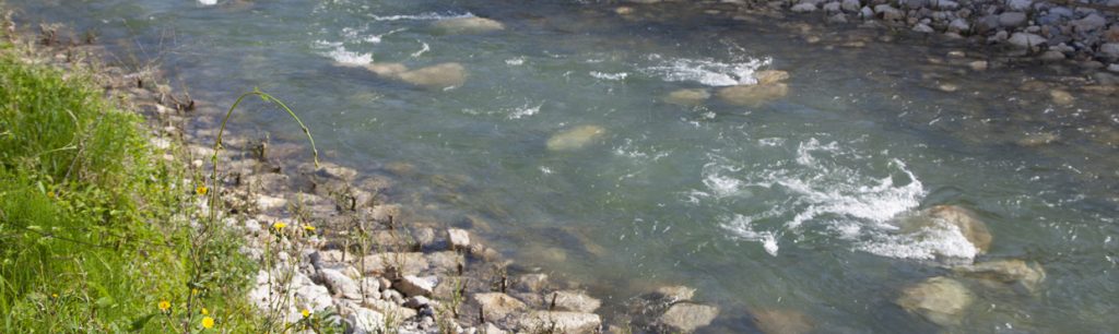 Chantier de la Leysse : la promesse d’un beau parcours de pêche