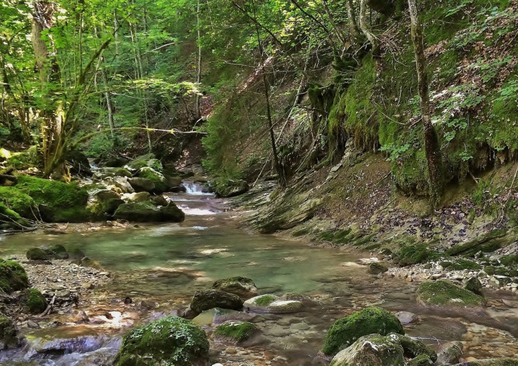 Le parcours de pêche du ruisseau de la Reysse